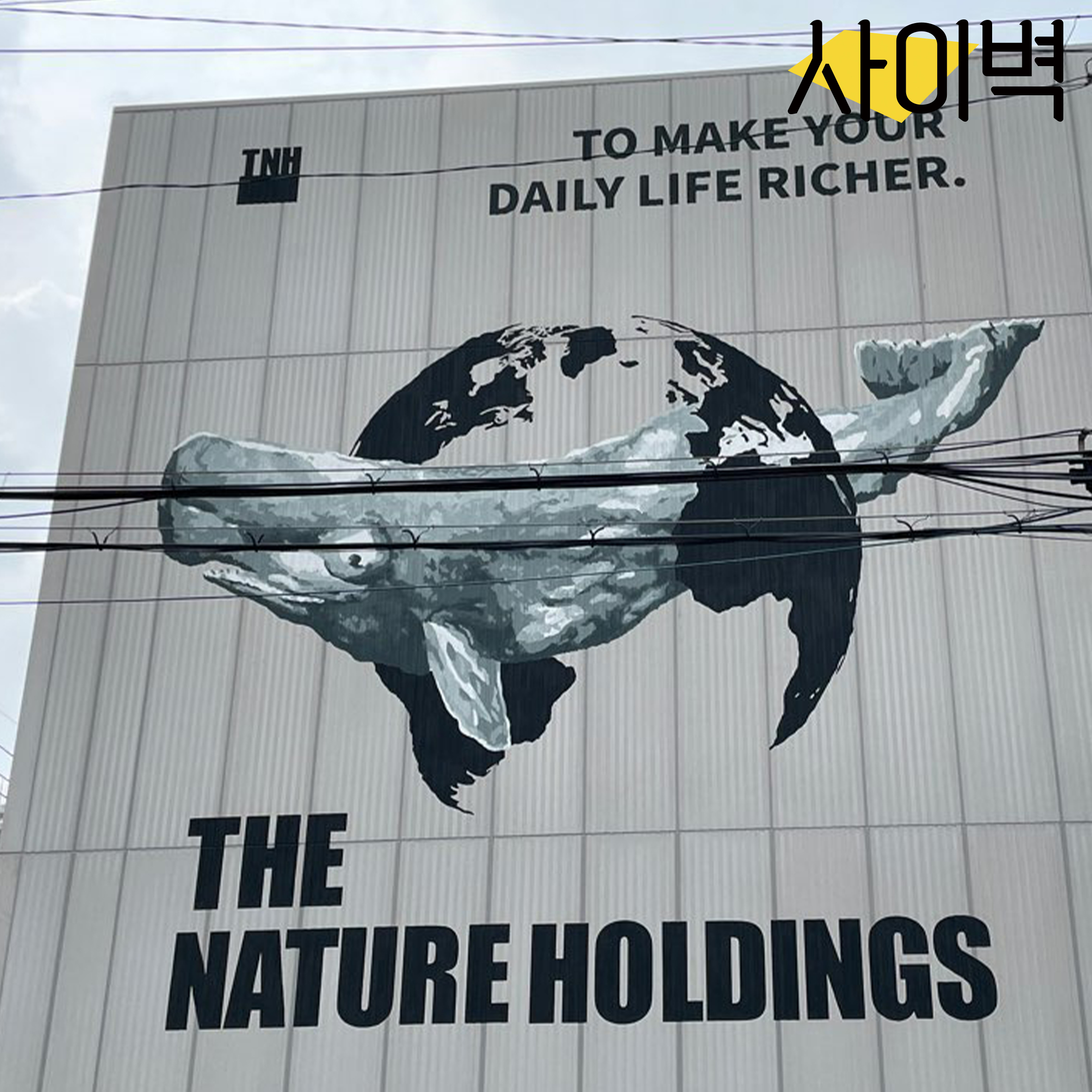 더네이쳐홀딩스 사옥 벽화 시공